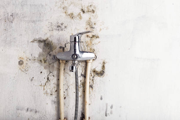 Best Water Damage Restoration  in Pasco, WA