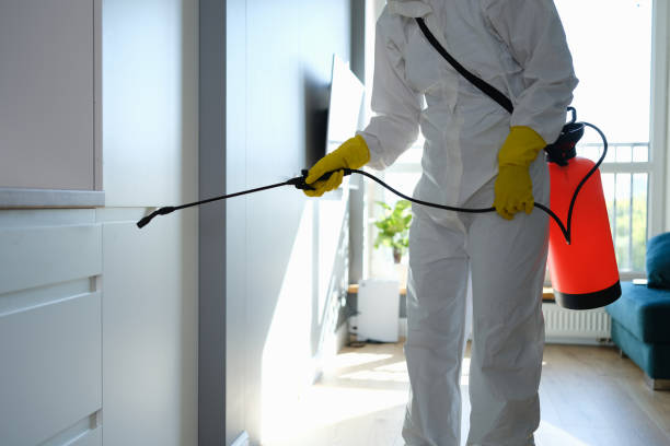Best Crawl Space Mold Removal  in Pasco, WA