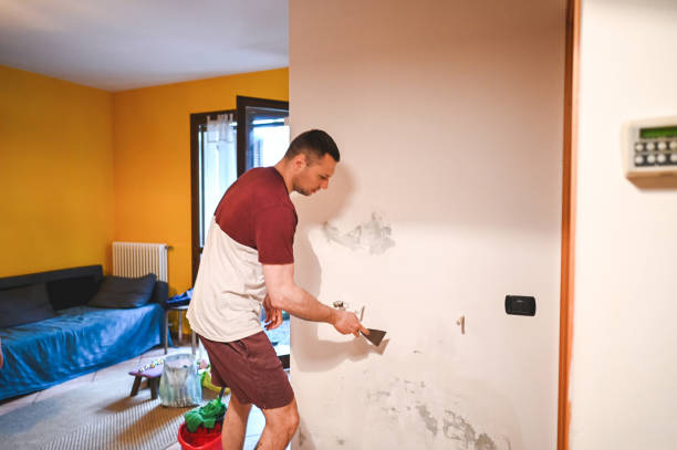 Best Mold Cleaning Services  in Pasco, WA